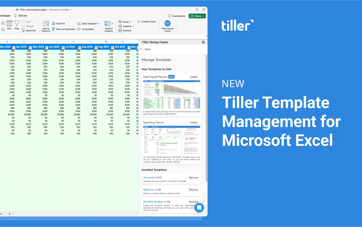 Tiller Template Management for Microsoft Excel