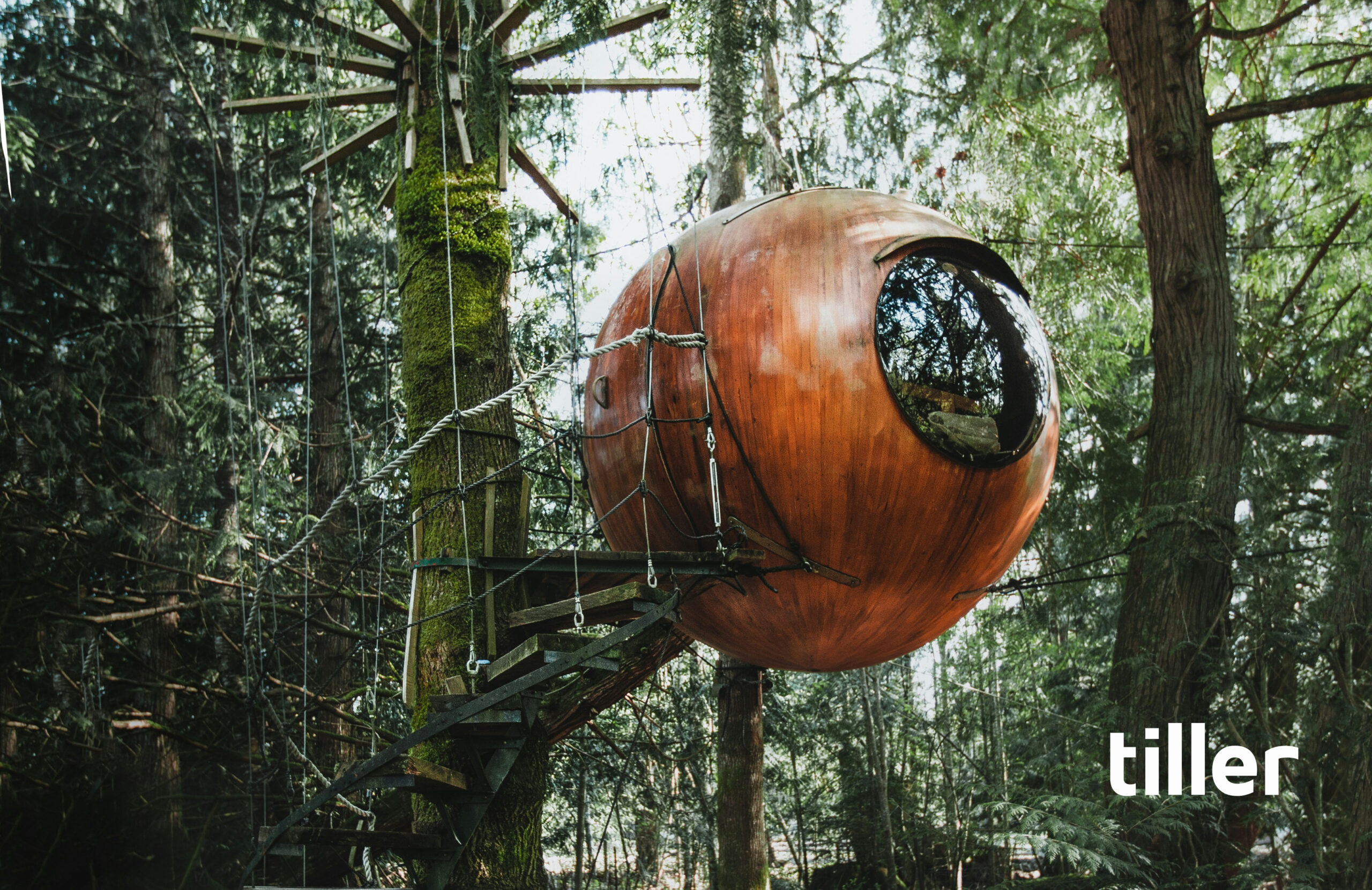 tree house scaled tree house in the forest