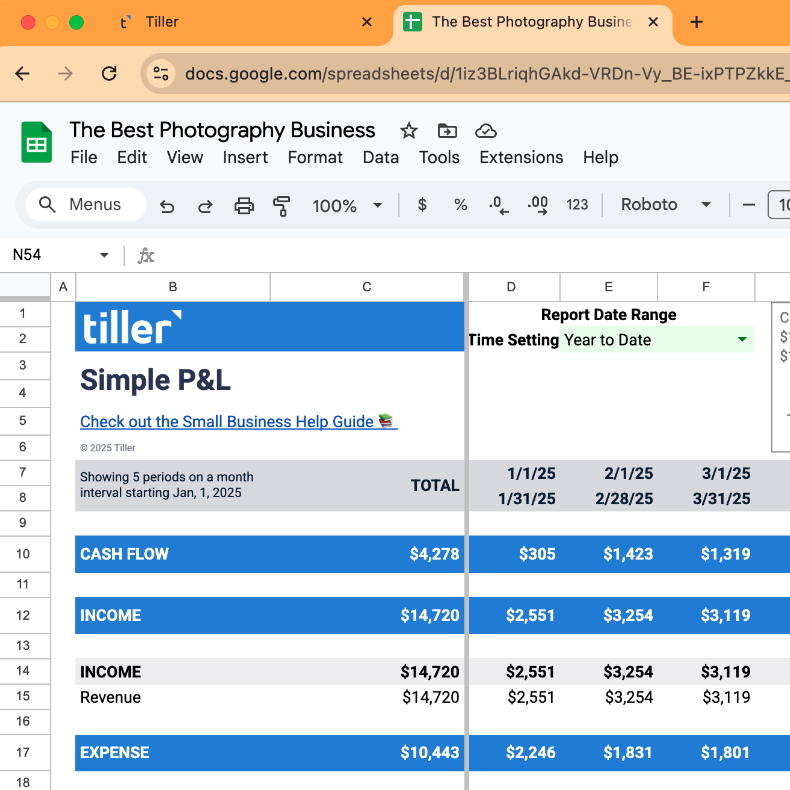 simple p and l closeup 1 a screenshot of Tiller's simple P&L template sheet