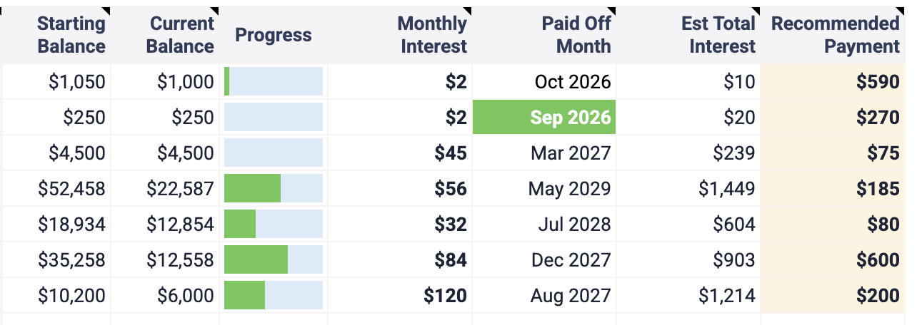 debt balance progress list of current and starting balances plus debt payoff details